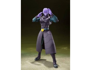 Dragon Ball Super S.H....