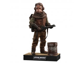 Star Wars The Mandalorian...