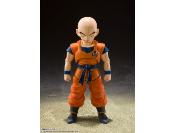 DRAGON BALL Z KRILLIN EARTH...