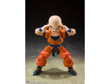 DRAGON BALL Z KRILLIN EARTH... 2