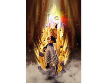 DRAGON BALL Z ZERO SS...