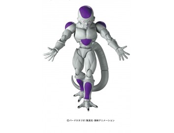 FIGURE RISE FINAL FORM...