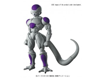 FIGURE RISE FINAL FORM... 2