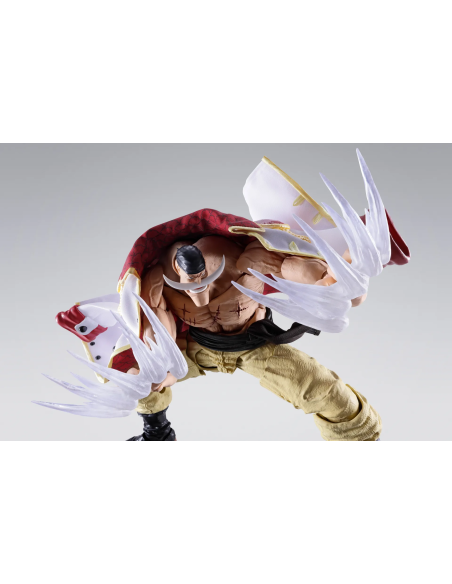 Dettagli curati per questa S.H.Figuarts di Edward Newgate, direttamente dalla Guerra di Marineford.