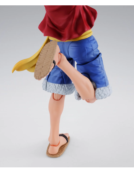 Monkey D.Luffy Two Years Later: una riproduzione dettagliata dal celebre universo di One Piece.