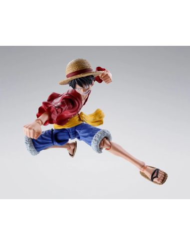 Dettagli curati per Monkey D.Luffy Two Years Later, un pezzo da collezione per gli appassionati di One Piece.