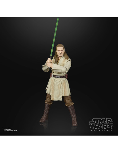 Star Wars Episode I Black Series Lucasfilm 50th Anniversary Action Figure 2021 Qui-Gon Jinn 15 cm